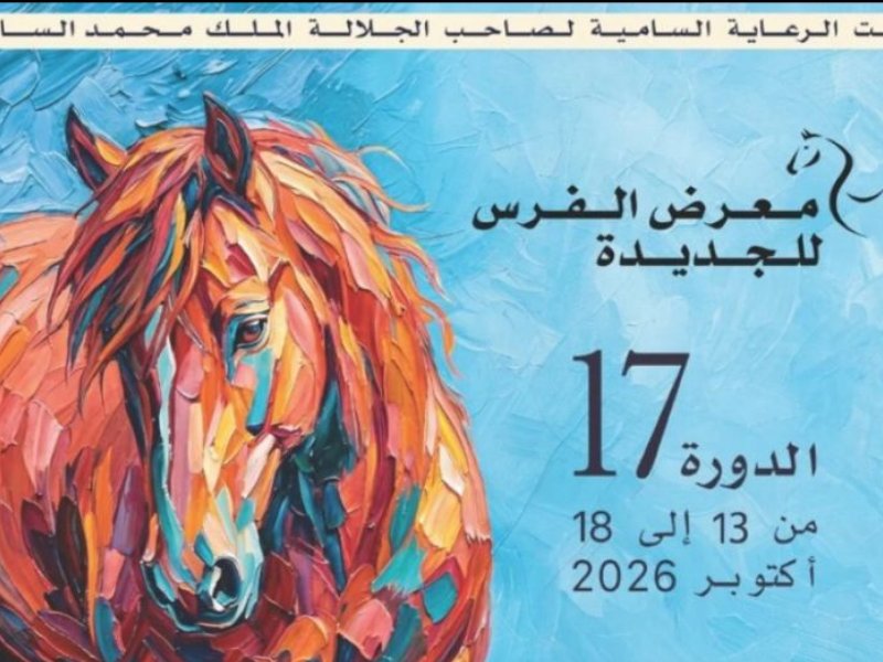 معرض الفرس بالجديدة يضع البحث العلمي والتراث الفرسي في صلب دورته السابعة عشرة