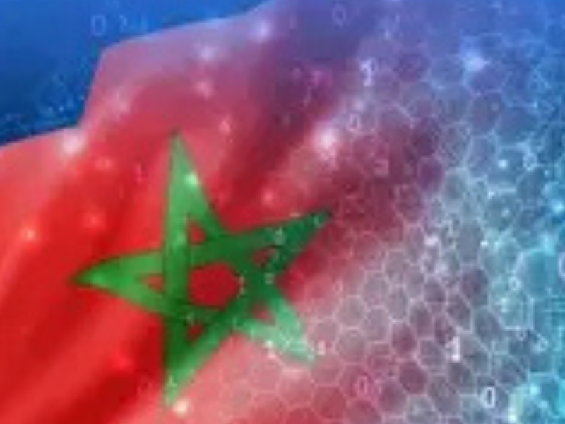 الحكومة الإلكترونية.. المغرب يعزز تحوله الرقمي بشراكة جديدة مع الأمم المتحدة
