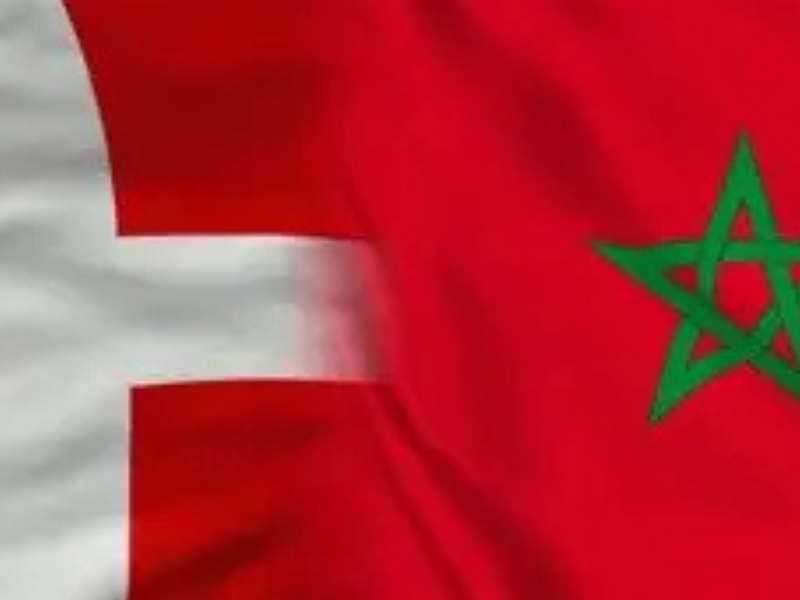 المغرب والدنمارك.. نحو شراكة استراتيجية تعزز التعاون السياسي والاقتصادي