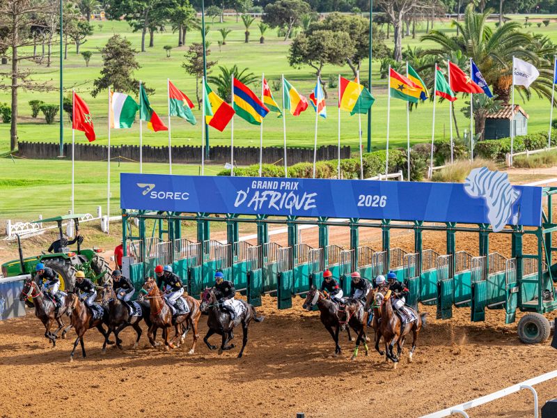  14 بلداً و8 سباقات.. الجائزة الكبرى لإفريقيا 2026 تجمع الخيل والأعمال والابتكار