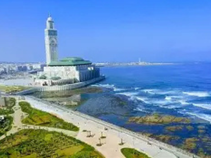 شروق حريش ترسم الدار البيضاء كمدينة عالمية على شاشة TV5Monde