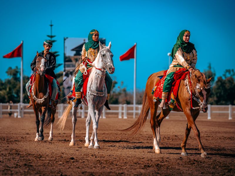 الخيالة السلطانية لسلطنة عُمان تشارك لأول مرة في معرض الفرس بالجديدة