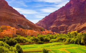 ورزازات تستضيف المؤتمر الدولي للواحات ونخيل التمر