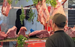 ارتفاع أسعار اللحوم الحمراء في المغرب: ضغوط السوق وآفاق الاستقرار