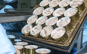 برشيد تحتضن أكبر مصنع لتعليب التونة بالمغرب بشراكة مغربية-إسبانية