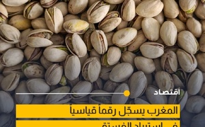 الطلب على الفستق بالمغرب يصل لأعلى مستوى تاريخي في 2025