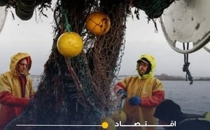 تخصيص 54 ألف طن من الأسماك السطحية لشركات روسية في المغرب
