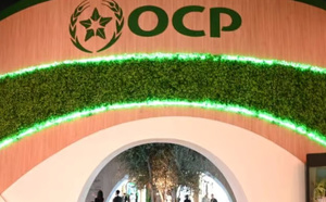 مجموعة OCP تنجح في تعبئة 5 مليارات درهم عبر إصدار سندات دائمة لتعزيز تمويلاتها طويلة الأمد