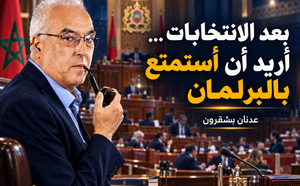 بعد الانتخابات… أريد أن أستمتع بالبرلمان