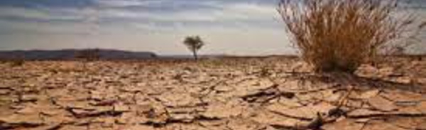 هل يودع المغرب موجة الجفاف؟؟