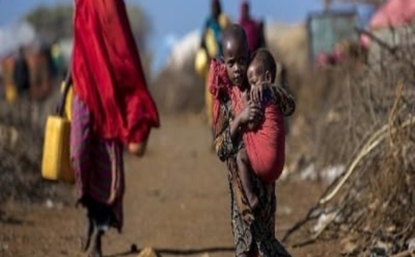 تحذيرات أممية من مغبة مجاعة غير مسبوقة تهدد العالم