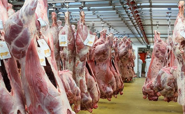 أسعار اللحوم الحمراء بلغت 80 درهماً