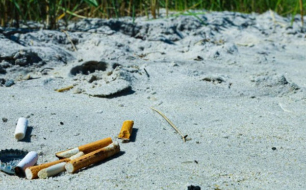 أثر التدخين غلى حياة الانسان والبيئة 