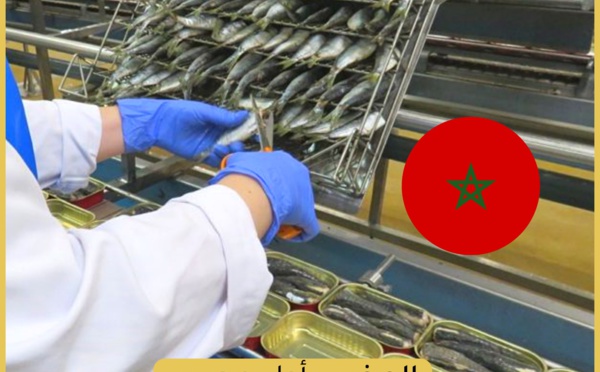 المغرب أول مصدر "للسردين المعلب" في العالم