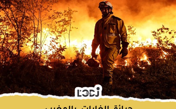 تحذير حرائق الغابات  بالمغرب 