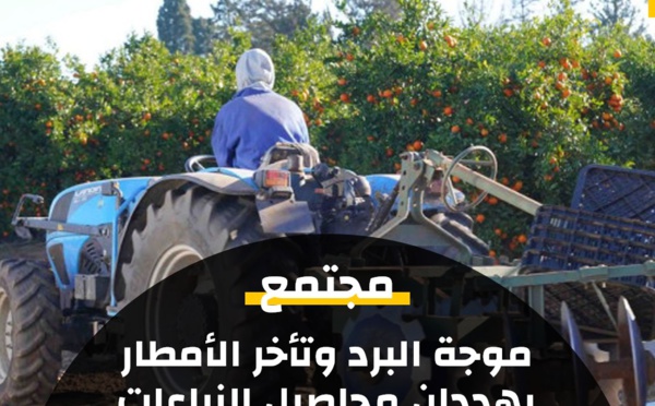  موجة البرد وتأخر الأمطار يهددان محاصيل الزراعات الخريفية