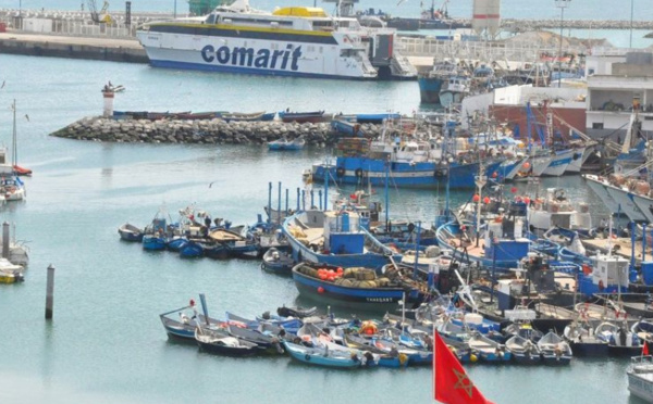 ميناء طنجة: تراجع مفرغات الصيد البحري بنسبة 17% سنة 2023
