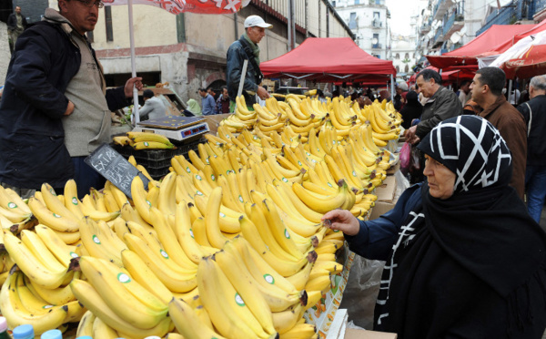أسعار الموز تتصاعد ووزير التجارة الجزائري يحث على مقاطعة "البنان"