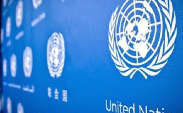  الأمم المتحدة تحث على اتخاذ إجراءات فورية لمكافحة شبكات تهريب المخدرات في منطقة الساحل