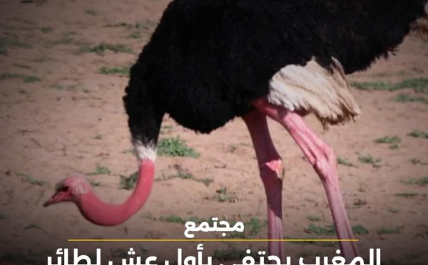 تطور بيئي ملفت