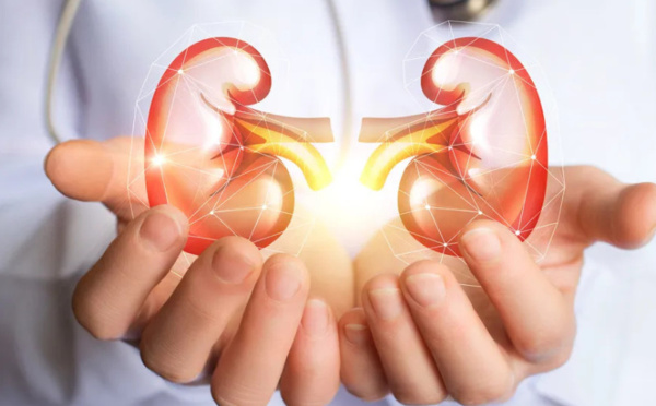 4 نصائح للحفاظ على صحة الكلى وحمايتها من الأمراض