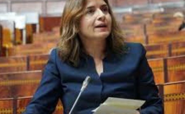الوكالة المغربية للطاقة المستدامة تنفذ أكثر من 236 مشروعًا للتنمية المحلية بحلول 2024