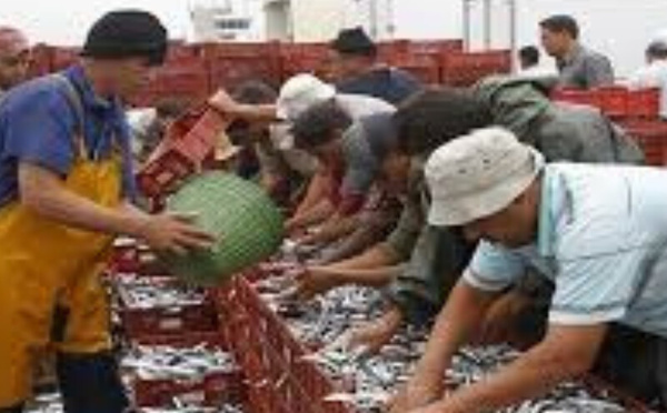 الإنتاج الوطني للمنتجات البحرية يسجل 1.42 مليون طن في 2024