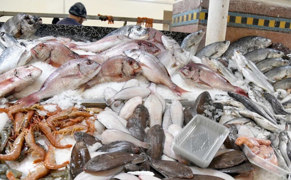 مستشارون برلمانيون يطالبون بضمان استفادة المغاربة من الثروة السمكية