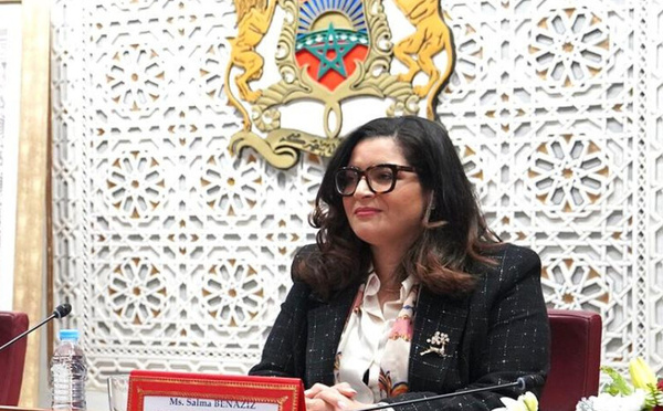 المغرب يتولى رئاسة منتدى رؤساء لجان الشؤون الخارجية بالبرلمانات الإفريقية