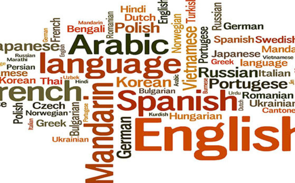 هل تُعد اللغات في النظام التعليمي المغربي عائقا أم فرصة للنجاح؟