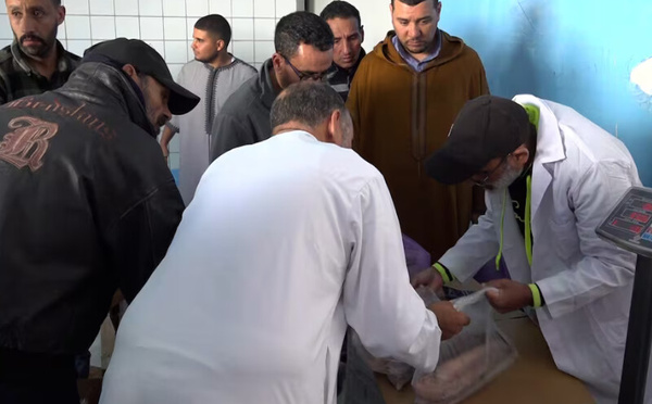 «الحوت بثمن معقول»: مبادرة لضبط أسعار الأسماك بمدينة الداخلة