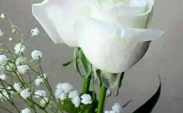 ( ما وراء الشعارات ) ؟؟؟