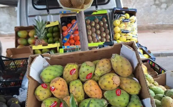 بثمن خيالي.. "الكرموس الهندي" فاكهة الفقراء لمن استطاع إليها سبيلا!