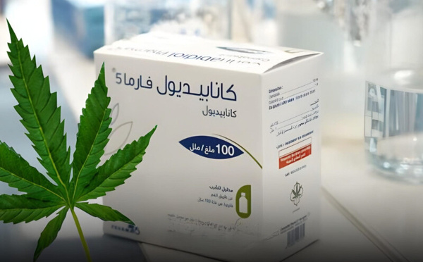 فارما 5 تستعد لطرح أول دواء مغربي يعتمد على القنب الهندي