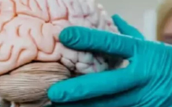 تأثير الاستخدام المفرط للهواتف الذكية على صحة الدماغ: تحذيرات من جامعة هارفارد