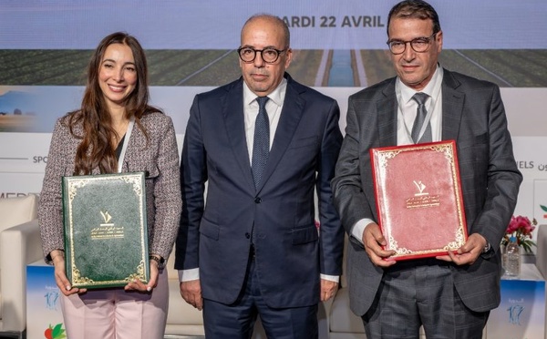 شراكة استراتيجية بين المعهد الوطني للبحث الزراعي وفيدرالية الزراعة الزيتية بالمغرب