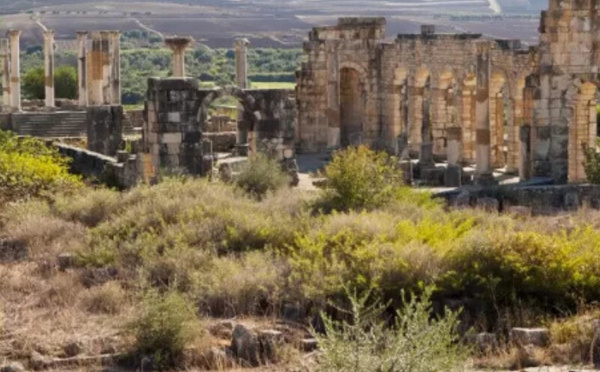 مشروع تطوير موقع وليلي الأثري: خطوة نحو تعزيز التراث والجاذبية السياحية