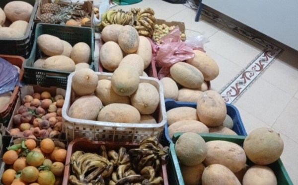 حملة واسعة بالملحقة الإدارية الداوديات لمكافحة احتلال الملك العمومي والأنشطة العشوائية