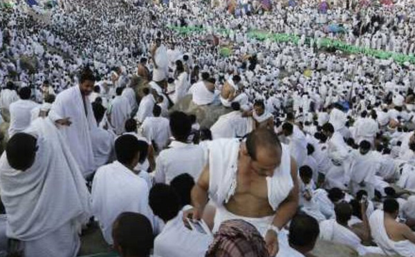 توافد حجاج بيت الله الحرام إلى عرفات: ذروة مناسك الحج