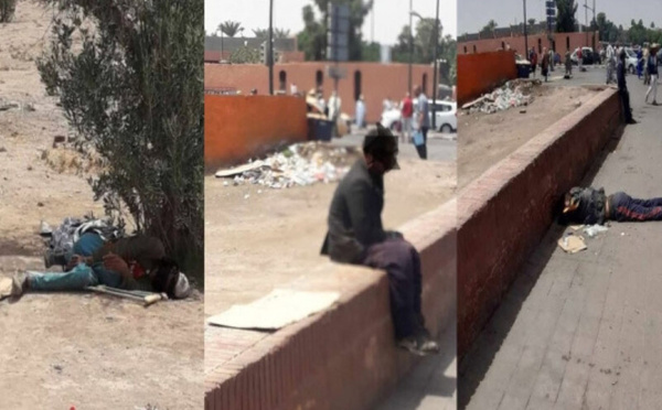 شارع 11 يناير بمراكش: مأساة إنسانية تهدد صورة المدينة العالمية