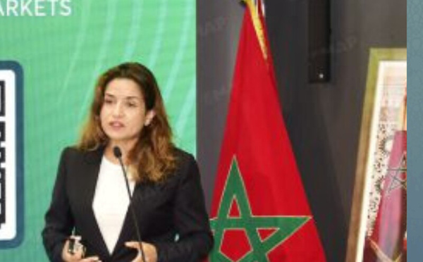 المغرب كقطب إقليمي لسوق الكربون: فرصة واعدة لتعزيز التنمية المستدامة