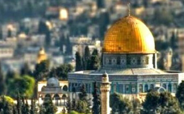 مالطا تعلن اعترافها الرسمي بدولة فلسطين: خطوة نحو تعزيز حل الدولتين