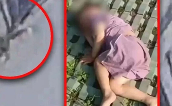 سقوط من الطابق الثامن عشر يتحوّل إلى معجزة نجاة بفضل “شجرة بطلة” في الصينٍ