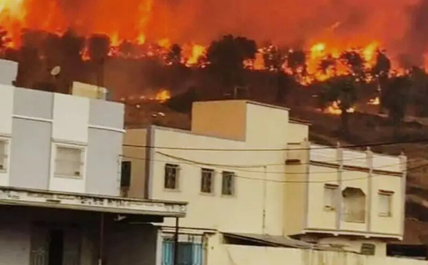 من شفشاون إلى تطوان.. حرائق الغابات تواصل زحفها شمال المملكة