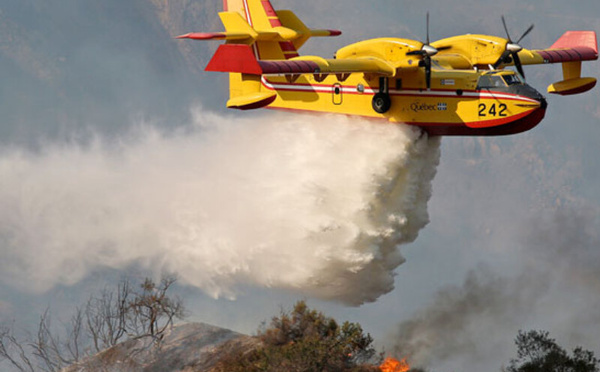 فرق الإطفاء تقترب من إخماد حريق غابة بنقريش بنسبة 95%