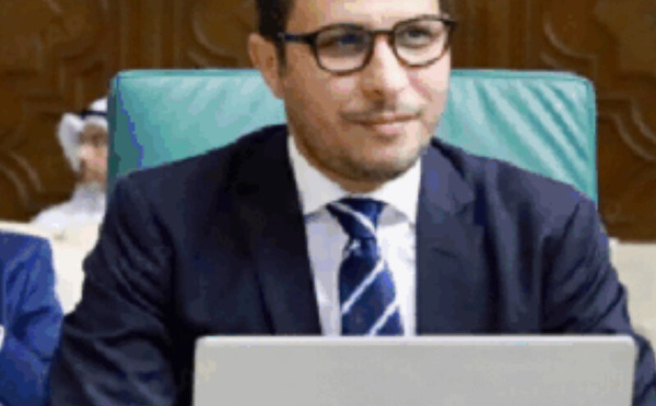 المبادرات المغربية تحظى بتقدير عربي في المجلس الاقتصادي والاجتماعي بالقاهرة