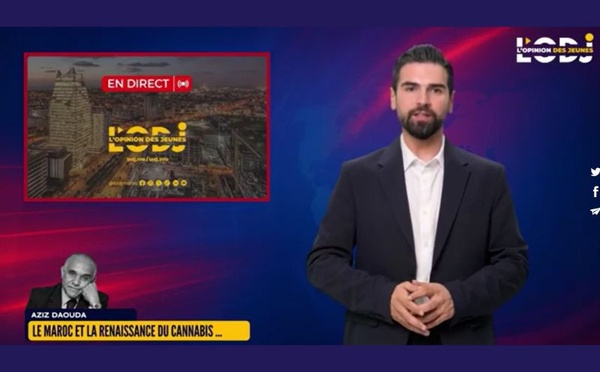 🎥 المغرب ونهضة القنب : التاريخ، التنظيم والقضايا الاقتصادية الحالية