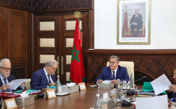 الحكومة تبسط شروط الولوج للشرطة البيئية لتعزيز عدد المفتشين وطنياً