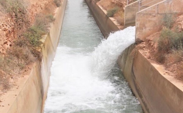 بركة : مشاريع تجميع الأمطار ساهمت في خفض استهلاك الماء بـ30%