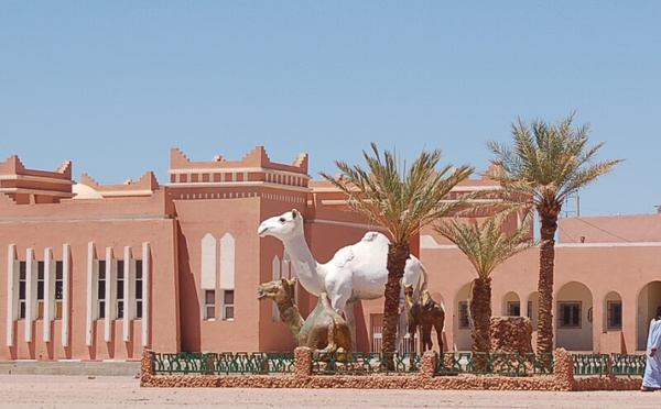 المندوبية الجهوية للسياحة : 46 ألف ليلة مبيت سياحية تعكس نمو القطاع في كلميم-وادنون